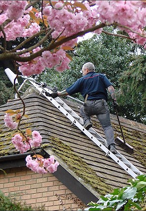 Our staff cleaning the moss from a roof in Southsea near Portsmouth